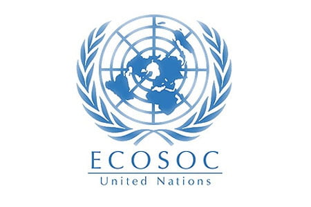 United Nations Economic and Social Council